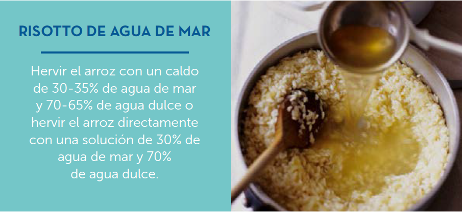 cocinar con agua del mar folleto 11